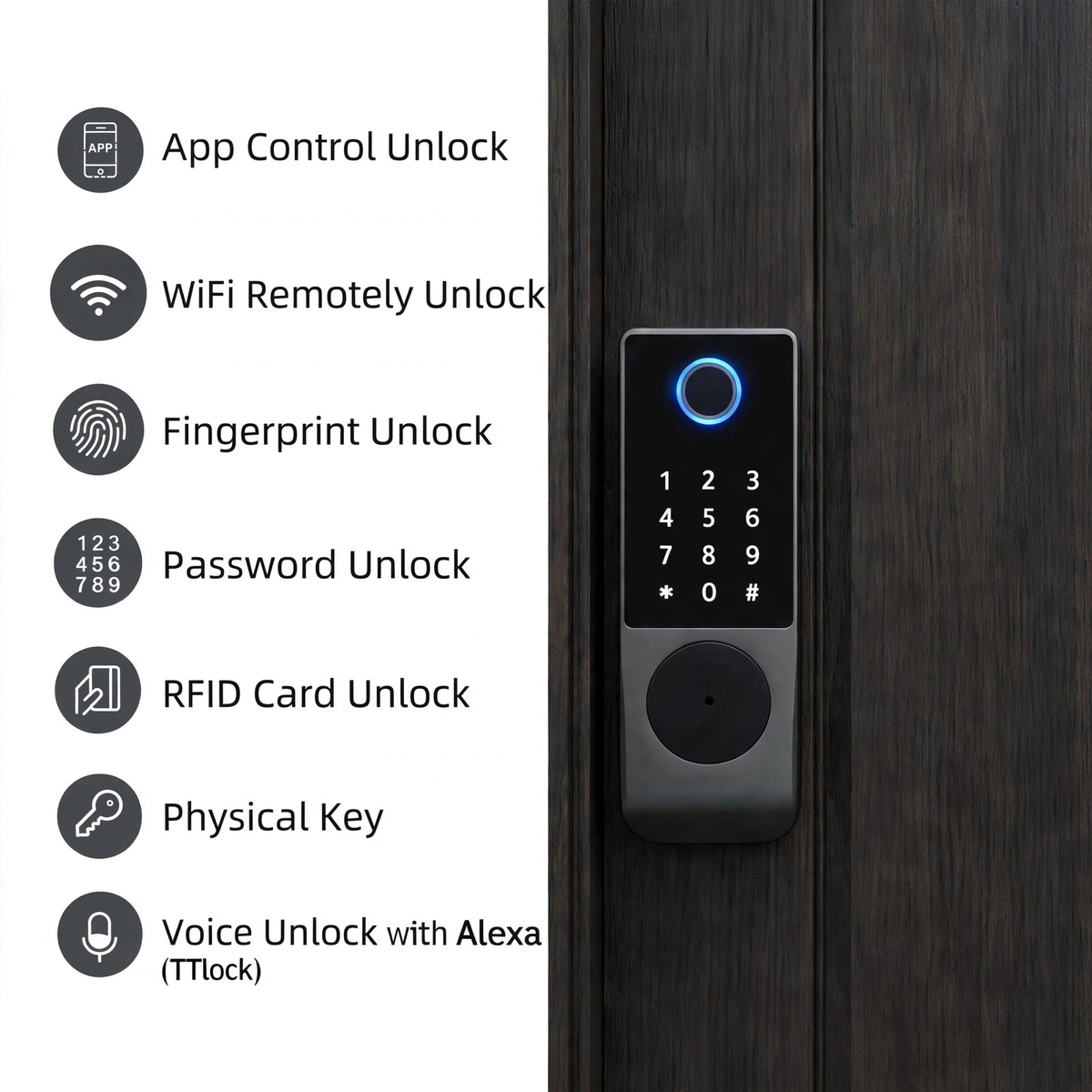 Gate smart lock unlock methods: app, Wi-Fi remote, fingerprint, code, RFID card, key and Alexa voice
